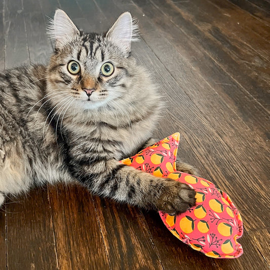 Big Fish Crinkle Cat Toy in Coral Oranges