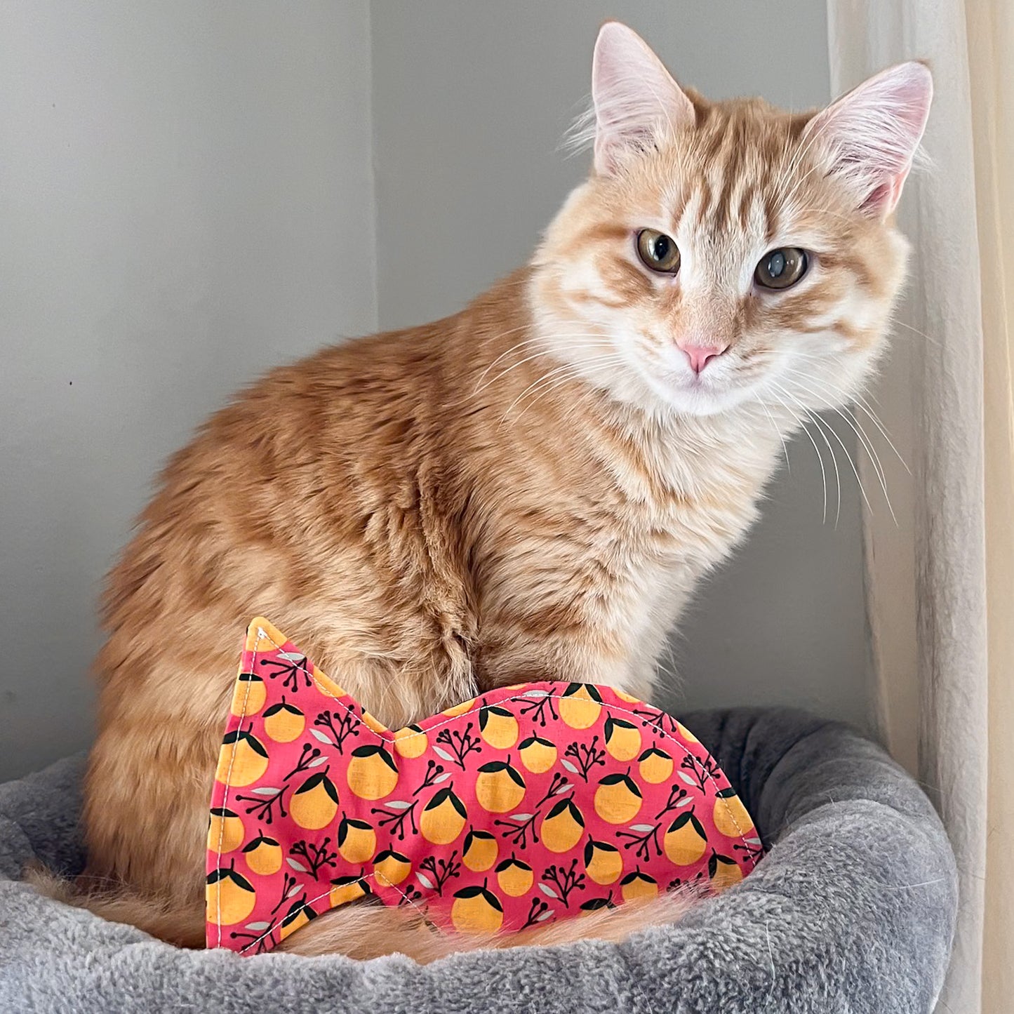 Big Fish Crinkle Cat Toy in Coral Oranges