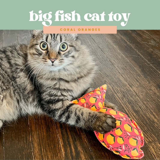 Big Fish Crinkle Cat Toy in Coral Oranges
